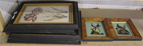 Pair of glass pictures/prints of birds & 4 floral prints